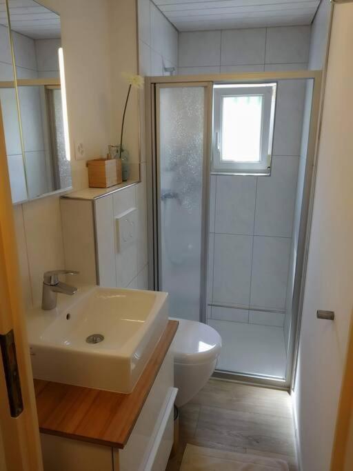Bijou 1 Huebsche 1 Zimmer Wohnung Herisau Zewnętrze zdjęcie
